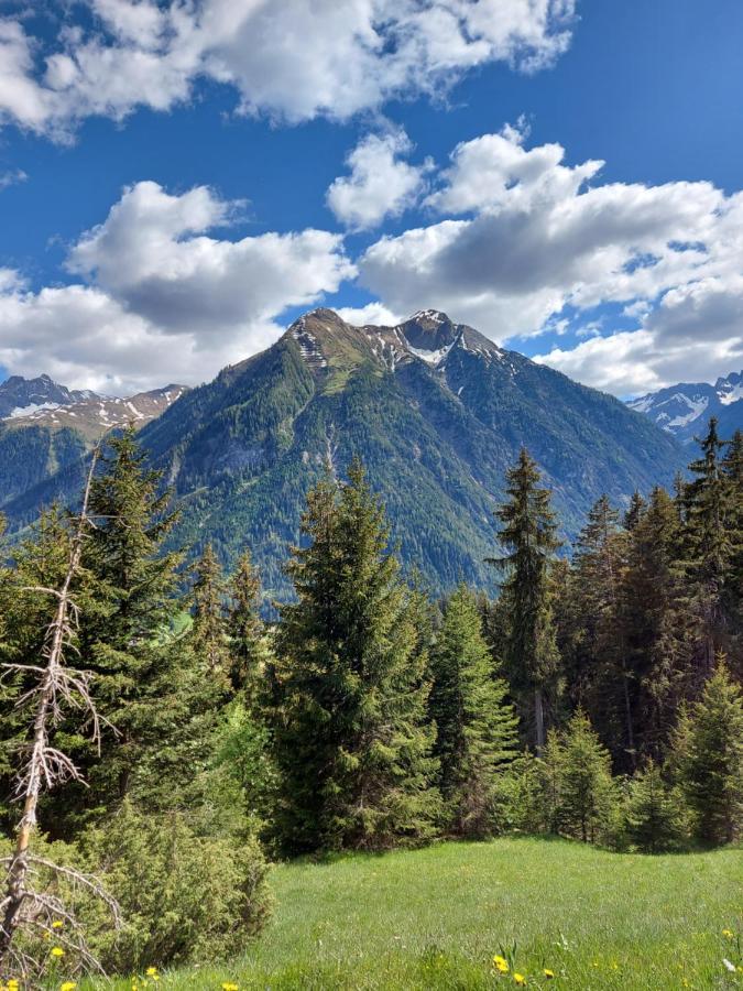 Villa Dora'S Lechtraum Bach  Esterno foto